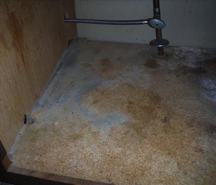 inside of a cabinet with mold growing on the base