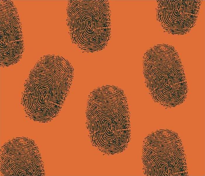 SERVPRO of Point Pleasant Fingerprint Residue Cleanup