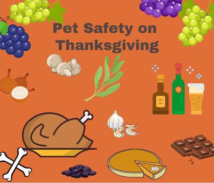 Foods not safe for pets to eat on Thanksgiving